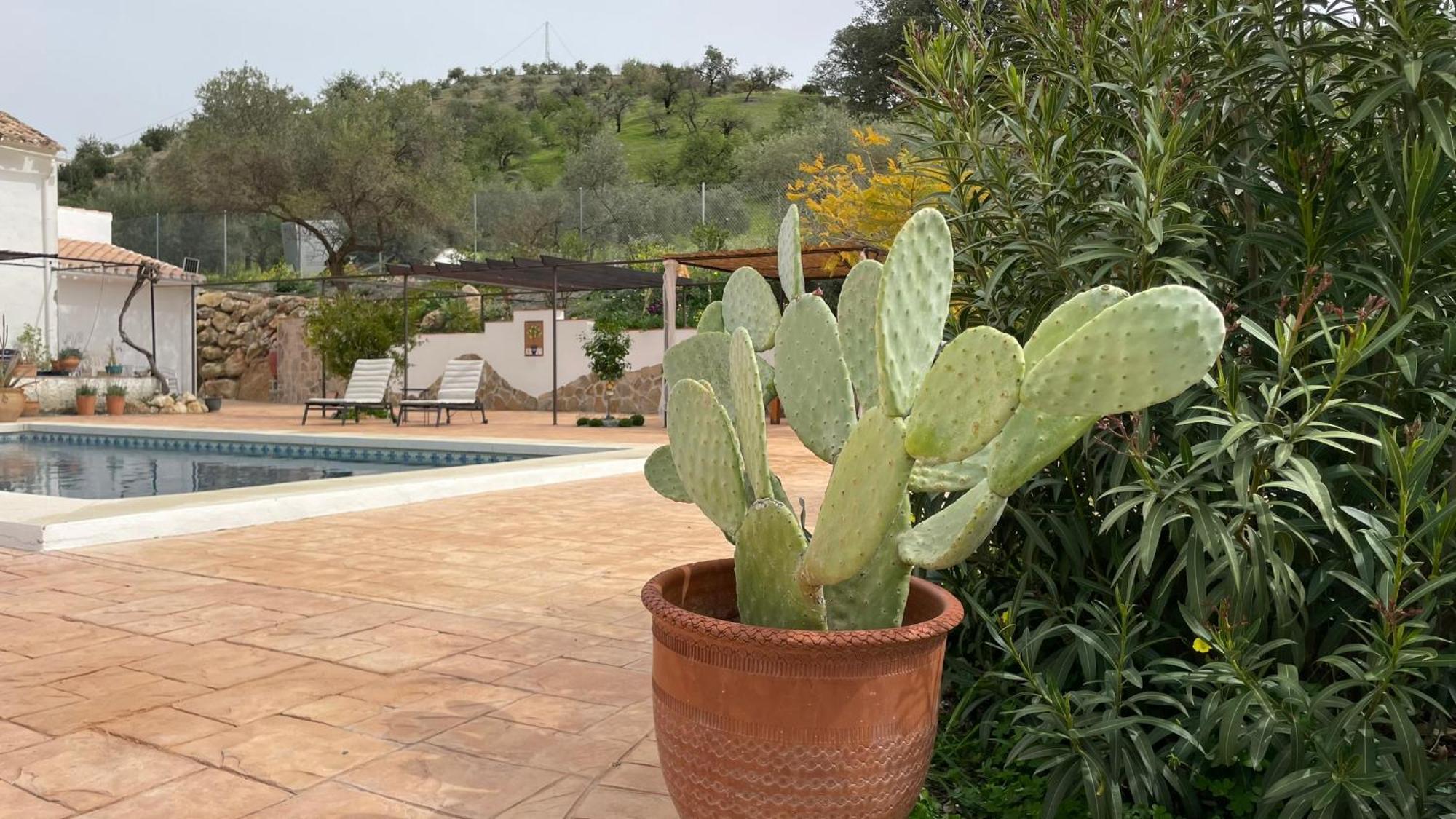 Finca Valle Verde Álora Exterior foto